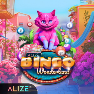 Bingo Wonderland